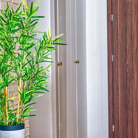 Triventi 48 Premium - 5d *